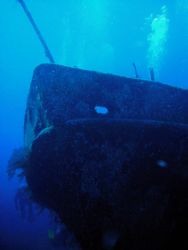 Wreck of the Austin Smith. Aquacat Liveaboard trip. Jan 6... by Allyssa Arnold 